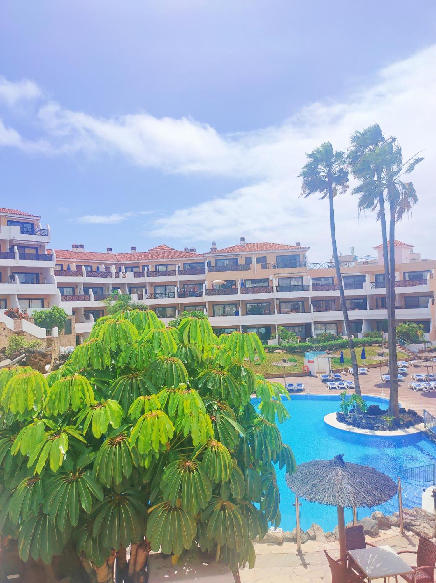 Lovely Apartment Top Views, Heated Pool, Great Location San Miguel de Abona Zewnętrze zdjęcie