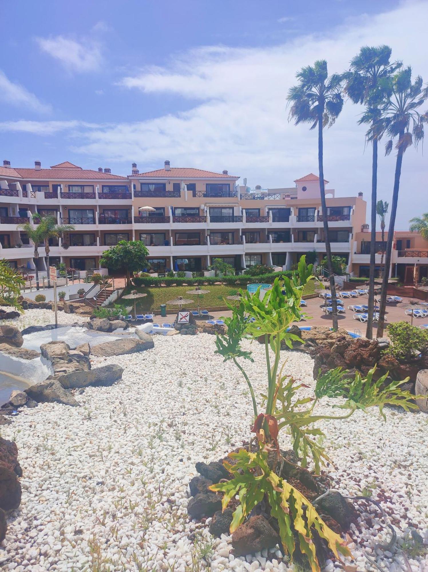 Lovely Apartment Top Views, Heated Pool, Great Location San Miguel de Abona Zewnętrze zdjęcie